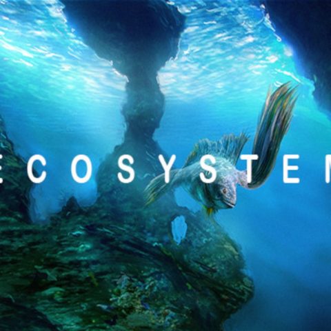 _Ecosystem111