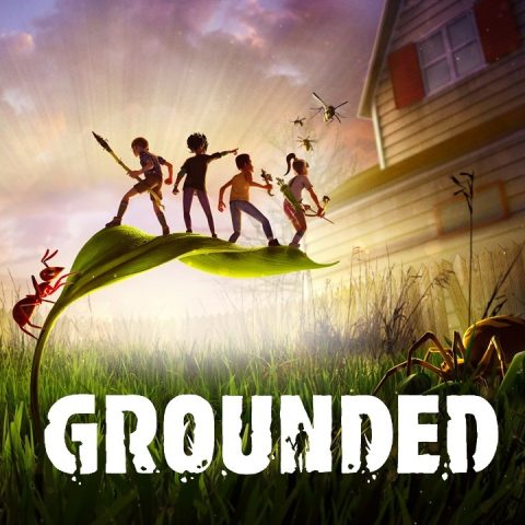 grounded800_1