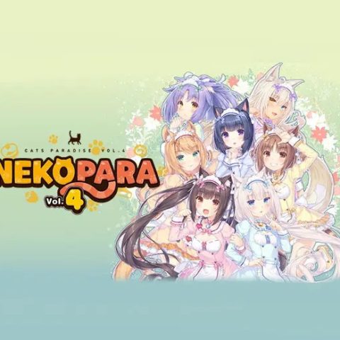nekop8_1