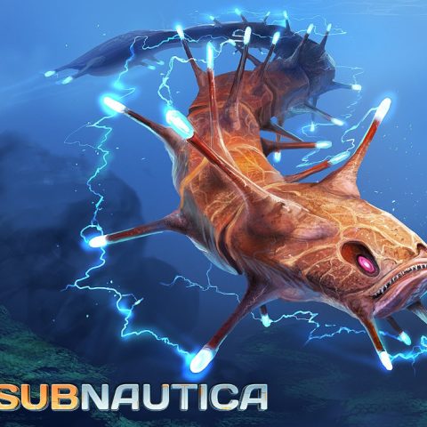 subn8_2