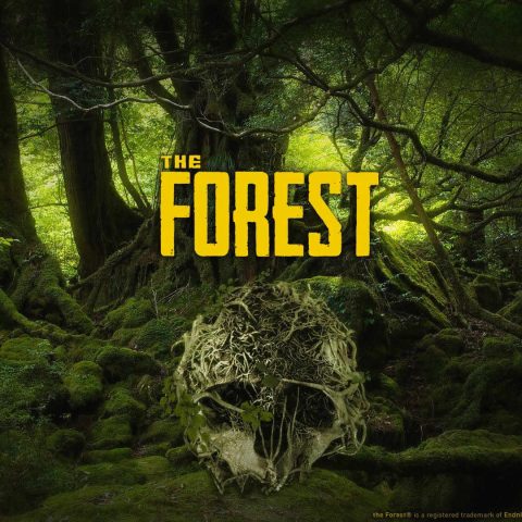 the_forest